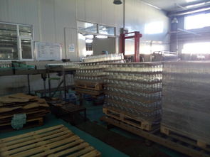 农大人的一天 掉进番茄酱厂的女神与定边农业之声