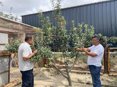 定边县 庭院经济“方寸地” 解码乡村“好日子”