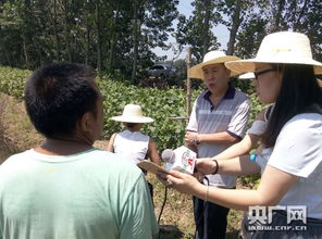 广播惠农暖人心 中国乡村之声与仙桃人民广播电台携手开展灾后助农行动